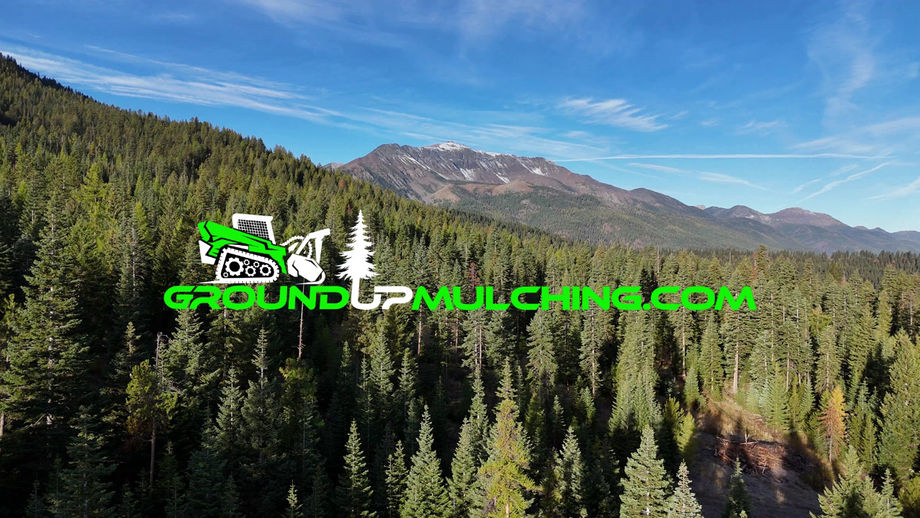 Forestry Mulching Drone Footage